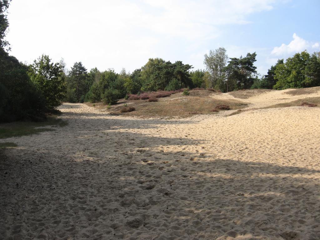Landhuisjes Bij De Wouterbron Opglabbeek Exterior photo
